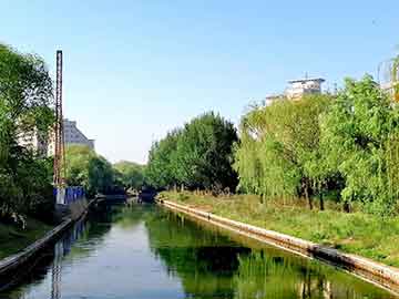 广州学习粤菜好吗（学粤菜去哪个城市好）