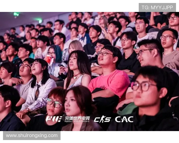 聚焦完美电竞官网打造全方位赛事互动信息平台服务玩家精彩体验界